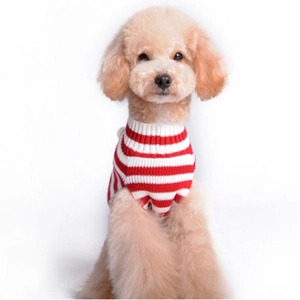 Detail of red and white striped knit dog sweater vest for small breeds like poodles