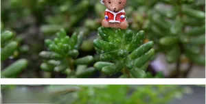 Miniatur Weihnachtsbaer Harzfigur in Sukkulenten-Garten-Szenendekoration