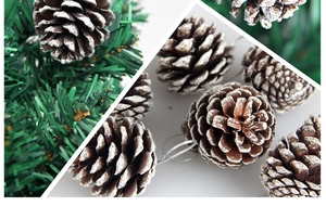 Close-up of brown pine cones with white snow edges and green needles for Christmas trees
