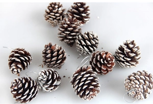 Close-up of natural pine cones with white snow dusting and silver hanging cords