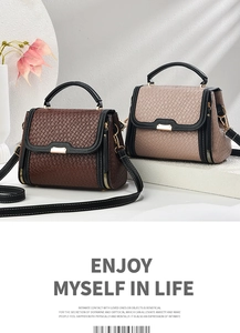 Detail of woven texture hand bags with golden metal buckles in brown and grey