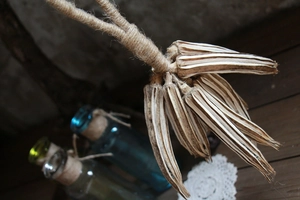 Détail de gousses de graines séchées naturelles avec corde de chanvre rustique