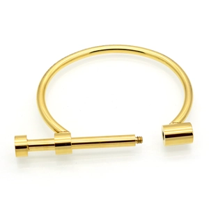 Bracelet jonc minimaliste en acier inoxydable plaqué or avec fermoir à vis en fer à cheval