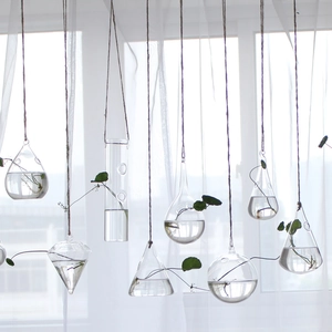 Hanging clear glass vases in multiple geometric shapes for indoor hydroponic plant decor
