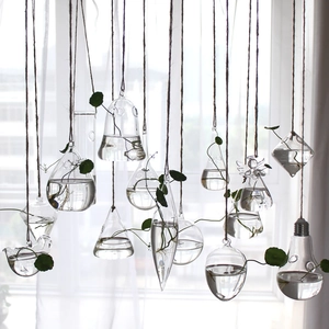 Minimalist hanging glass vases for hydroponic plants in various shapes with hemp ropes