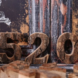 Detailed close-up of natural birch wood slices shaped as numbers 520 with bark texture