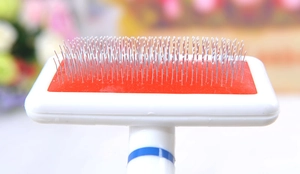 Close-up of pet slicker brush with protective white tips on metal needles for cat grooming