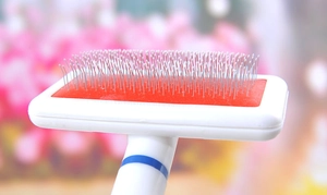 Close-up of pet slicker brush with protective tips for cat and dog grooming