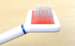 Macro shot of pet slicker brush with white protective tips and red rubber base pins