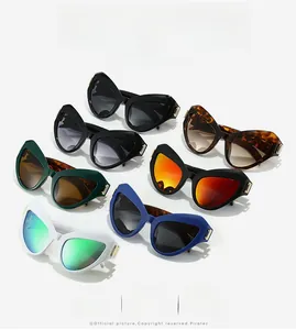 Vue détaillée de lunettes de soleil œil-de-chat avec montures colorées et charnières