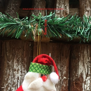 Detail of 4cm green S-shaped Christmas ornament hook hanging a Santa pendant on pine branch