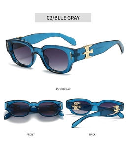 Detail of blue gray sunglasses with golden eagle and sword metal decorations on temples