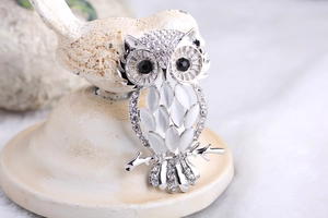 Detail of owl brooch with white cat eye stone and rhinestones on a silver base
