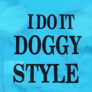 Close-up of blue knit pet vest featuring 'I DO IT DOGGY STYLE' printed text detail