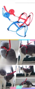 Detail view of adjustable nylon cat harness and leash set with safety buckles