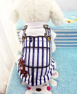 Vue arrière d'un caniche portant un gilet rafraîchissant bleu rayé à motif d'ours