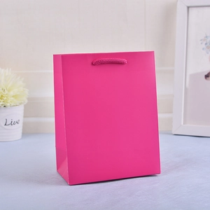 Detailed view of a pink paper gift bag with matching sturdy pink rope handles for packaging