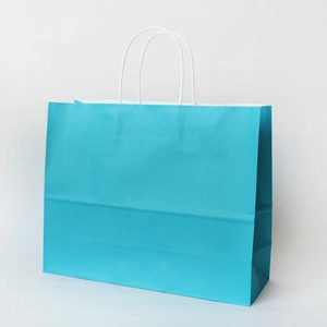 Close-up of teal kraft paper gift bag with white rope handles on gray background