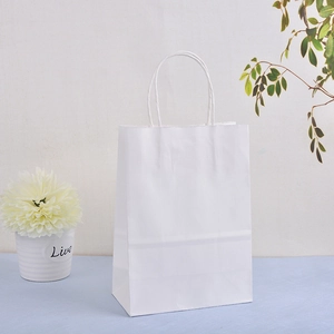 Minimalist white kraft paper gift bag with twisted rope handle and a clean finish
