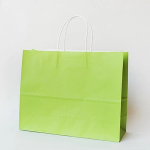 Detail of light green kraft paper gift bag with white twisted handles and folded bottom