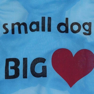 Détail du gilet bleu en maille pour chien avec texte small dog BIG et coeur