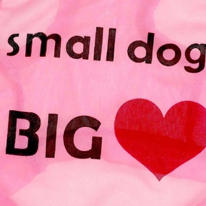 Détail macro du gilet rose pour animaux avec texte noir et motif de cœur rouge