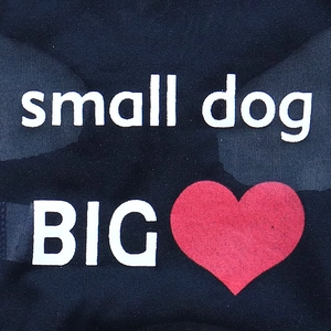 Gros plan du motif imprimé 'small dog BIG heart' sur le tissu d'un gilet pour chien