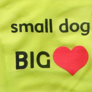 Détail du gilet en maille jaune néon pour animaux avec imprimé small dog BIG