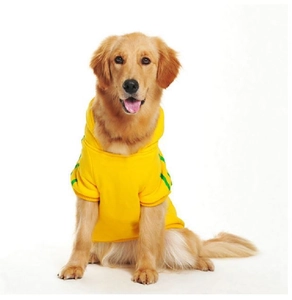 Close-up of vibrant yellow dog hoodie with green sleeve stripes for large breeds