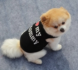 Detail of black pet vest featuring I Love My Mommy print on a small Pomeranian dog