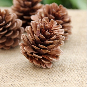 Close-up of a natural dried pine cone on burlap background for Christmas decor