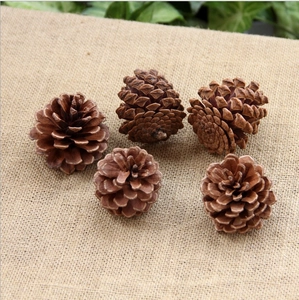 Macro view of five natural brown pine cones displayed on a rustic burlap background