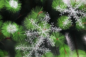 Close-up of 11cm white plastic snowflake ornament with glitter on green pine branches