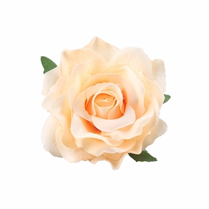 Close-up of champagne silk rose hair clip with green leaves on white background