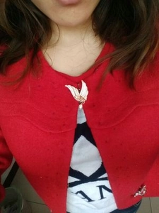 Detail of silver wing brooch with white enamel inlay on a red knitted cardigan sweater