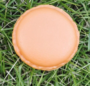 Orange macaron jewelry storage box for rings and earrings on green grass lawn
