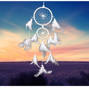 White double circle dreamcatcher with feathers hanging in a sunset field background