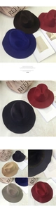 Selection of wide-brim felt fedora hats in black, burgundy, camel, and grey colors
