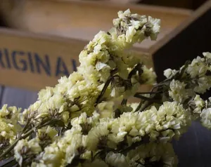 Dried yellow statice flower bunch in a rustic wooden box for DIY floral arrangements