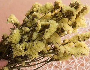 Dried yellow Myosotis bouquet for floral DIY and home decoration in natural style