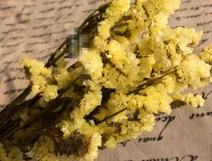 Natural yellow dried Limonium statice bouquet on vintage script background cloth