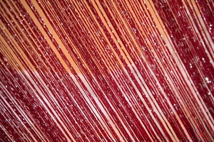 Macro shot of red decorative string curtain with glittering silver threads texture