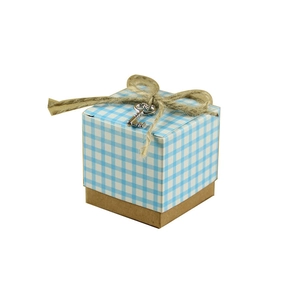 Detail of blue plaid gift box with kraft base, jute twine bow, and silver key charm