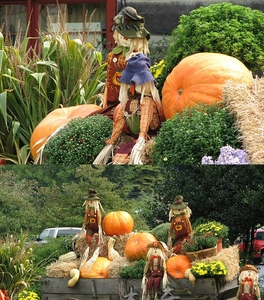 Halloween scarecrow decorations set on hay bales with orange pumpkins in garden