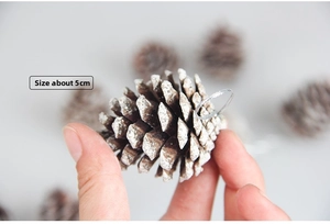 Detail shot of a 5cm natural pine cone pendant with white snow edges and silver hanger