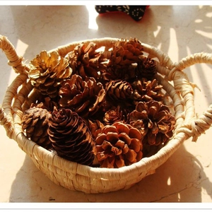 Close-up of natural dried pine cones in a woven basket for rustic home decor and DIY crafts