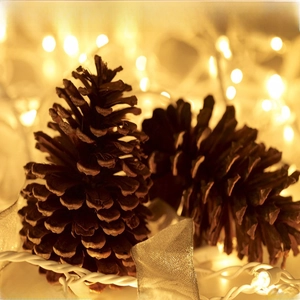 Macro shot of natural pine cones with silver ribbon and warm white fairy lights