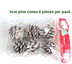 Detail of 6pcs 5cm natural pine cones with white snow edges in plastic bag packaging