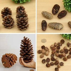 Vista macro de piñas naturales en varios tamaños para decoración festiva de Pascua