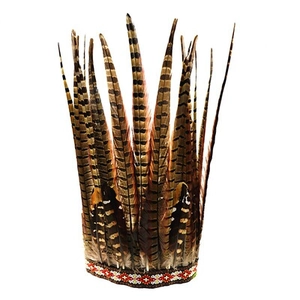 Détail de coiffe en plumes indiennes avec plumes rayées et bandeau brodé géométrique